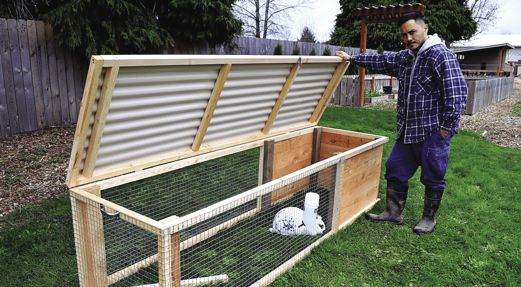 What to Look for in a Rabbit's Hutch?