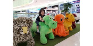 Experience The Most Enjoyable Electric Animal Ride