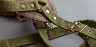 Dog Harness Market is in Huge Demand