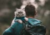 Preparing for a Day Out What Your Cat Needs