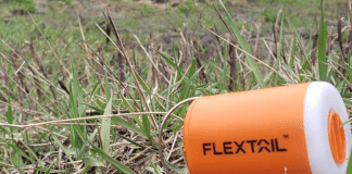 What Are the Main Arguments in Favour of Mosquito Repellents as the Best Option for Efficient Pest Control?